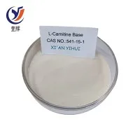 Bột nền L-Carnitine
